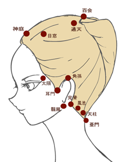 いつでも簡単頭皮ケア ご自身でも押せる頭のツボをご紹介 リッツブログ