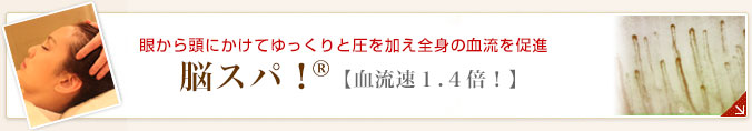 脳スパ！血流速1.4倍！